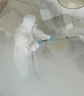 Cleaning professional