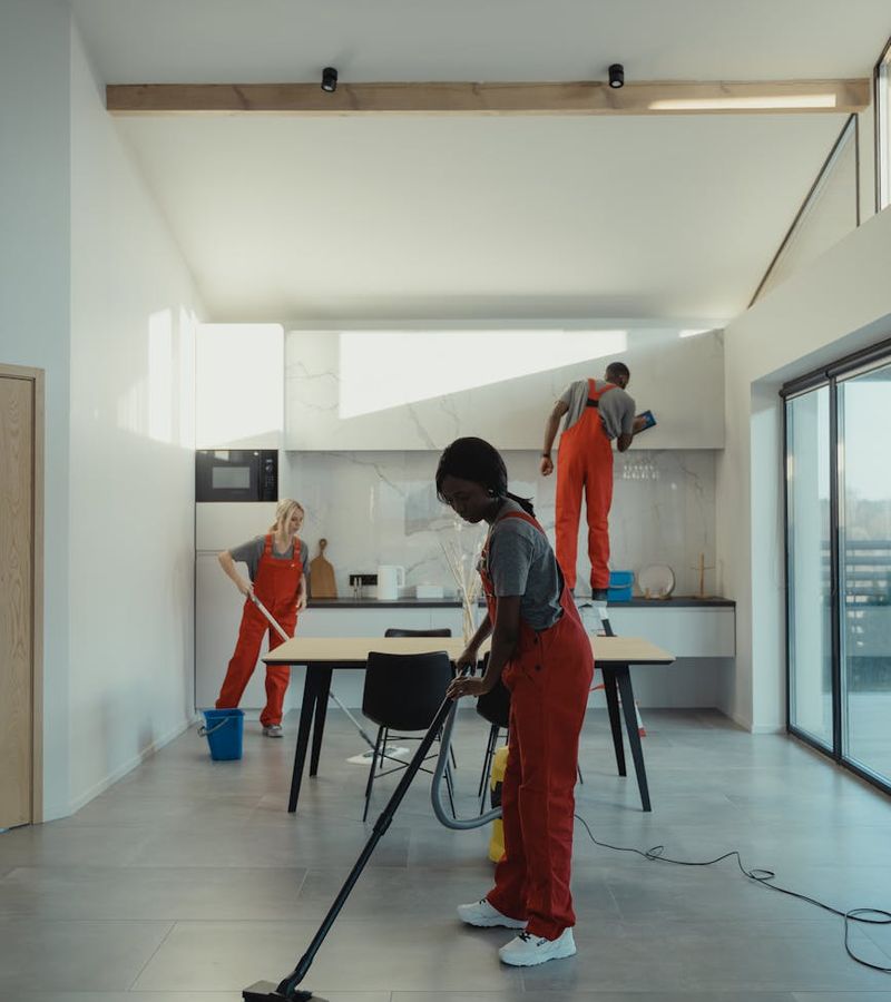 Professional cleaning and maintenance service